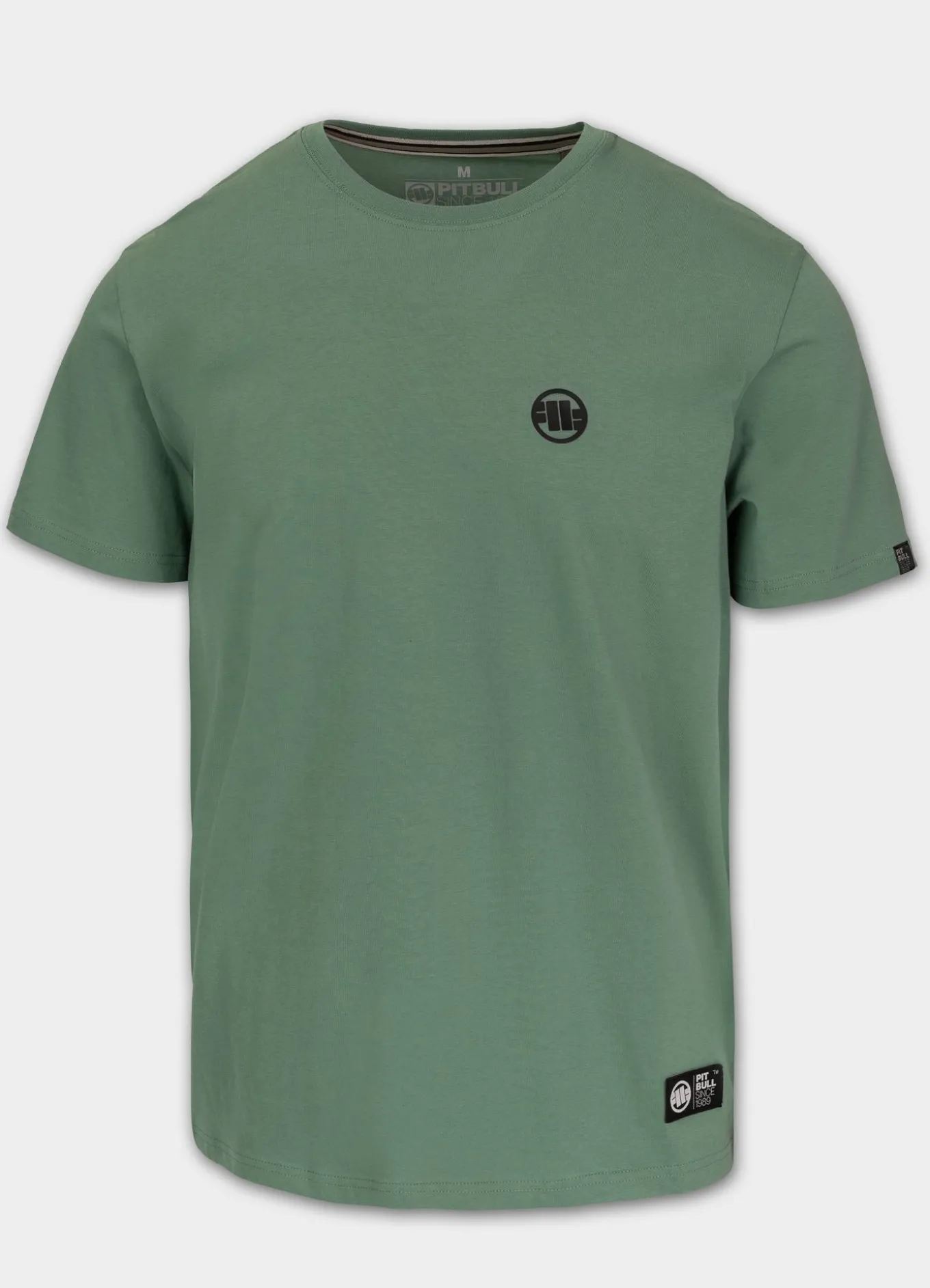 Men's T-Shirt SMALL LOGO - Mint