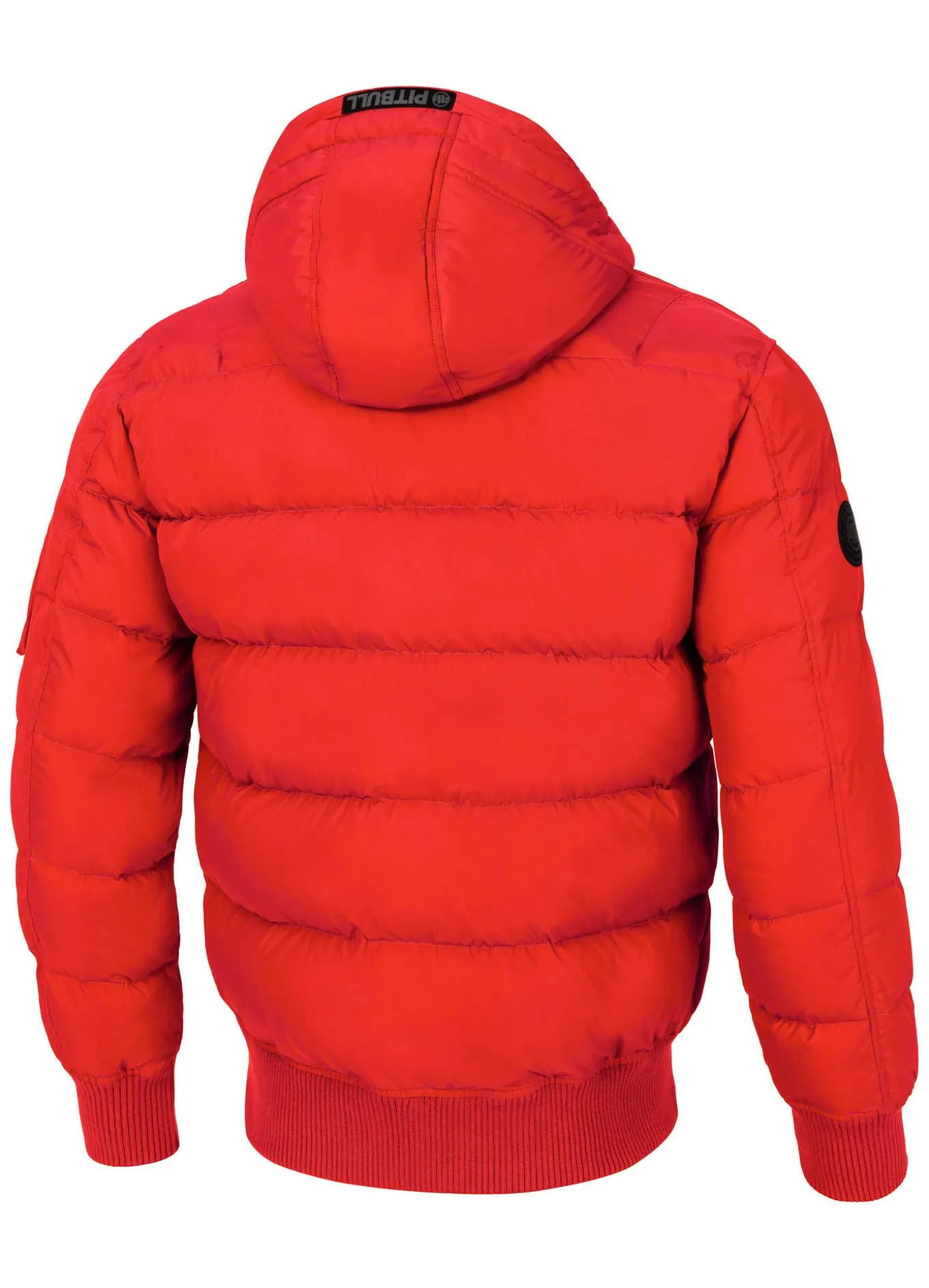 Men's winter hooded jacket Gopher