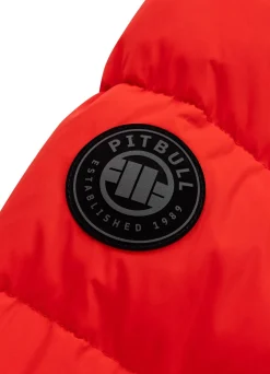 Men's winter hooded jacket Gopher