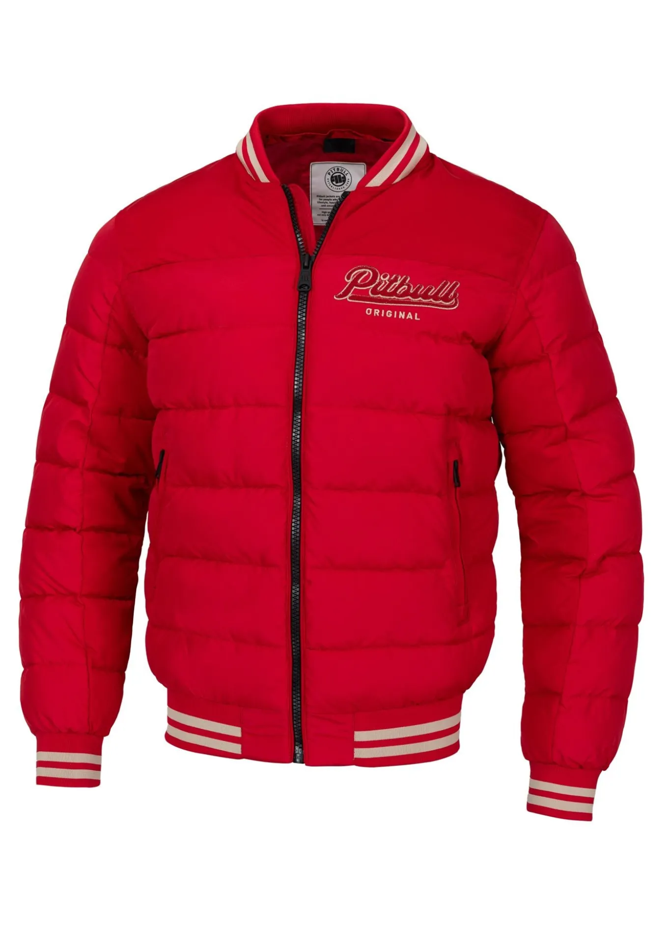 Men's winter hooded jacket Hidden