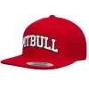 Snapback PITBULL