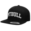 Snapback PITBULL