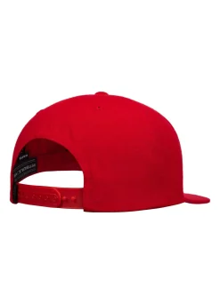 Snapback PITBULL