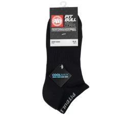 Socks No show 2-pack