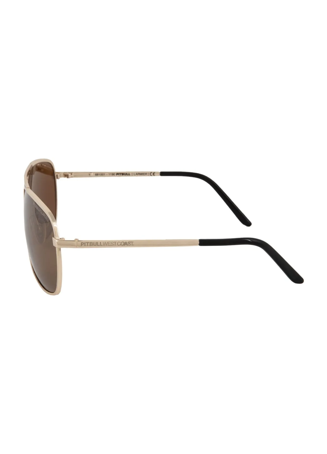 Sunglasses LARMIER