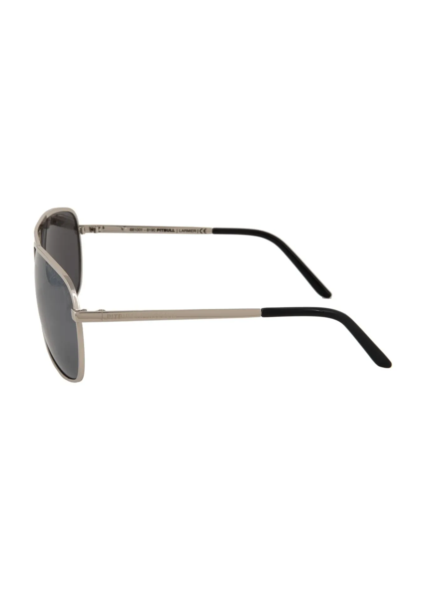 Sunglasses LARMIER