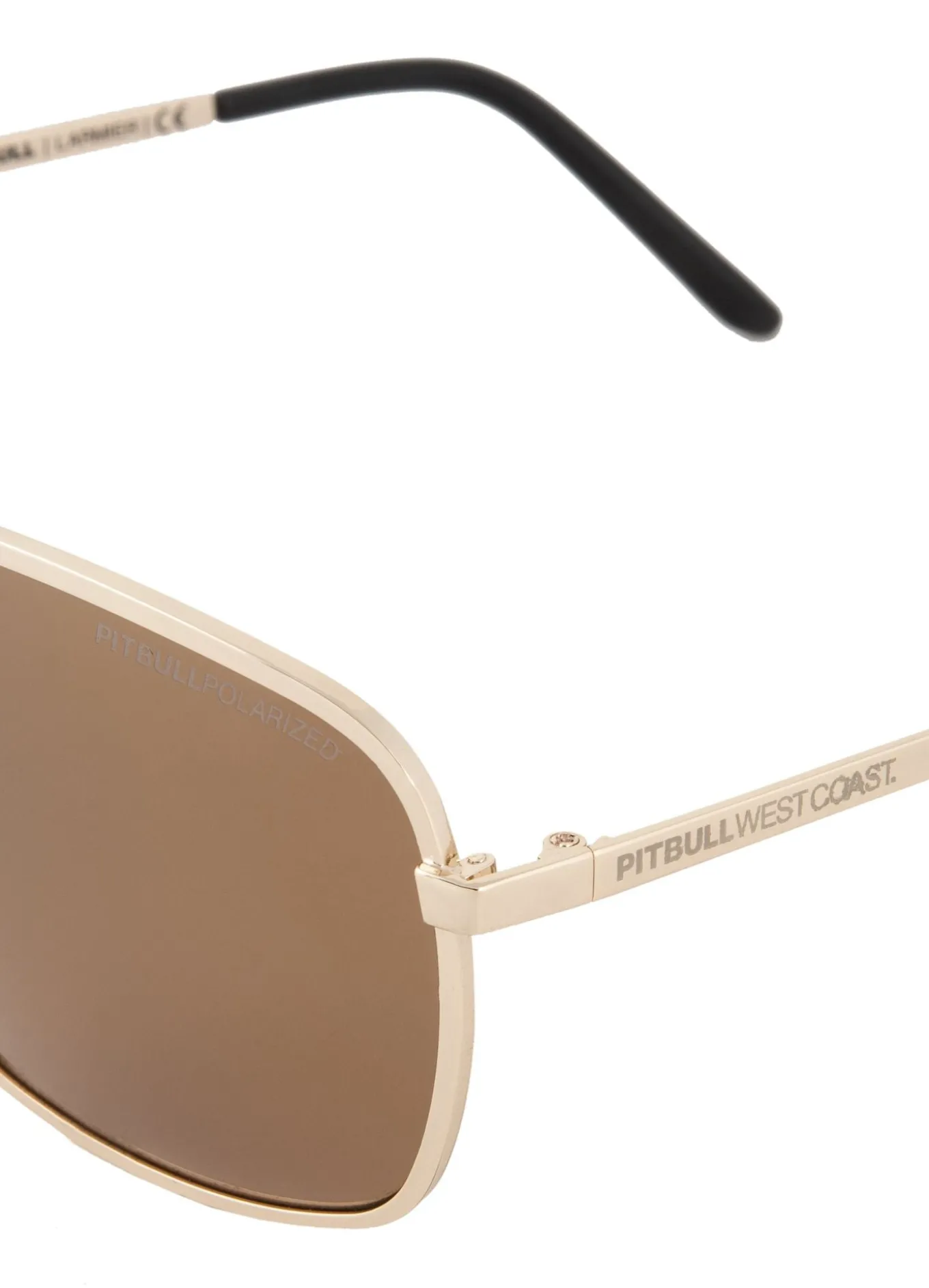 Sunglasses LARMIER