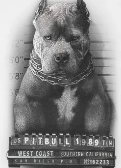 T-Shirt Mugshot II