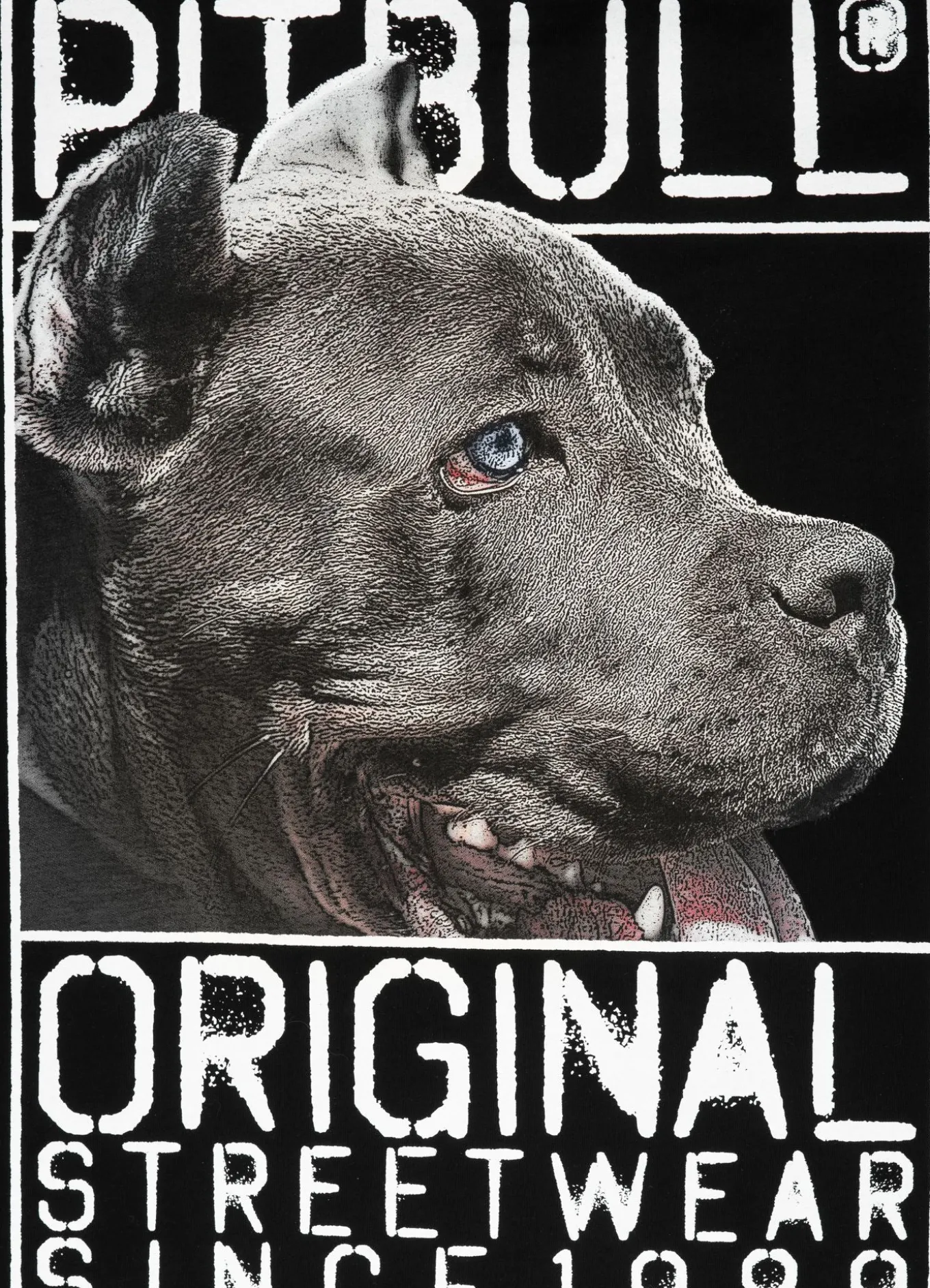 T-Shirt Origin