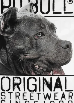 T-Shirt Origin