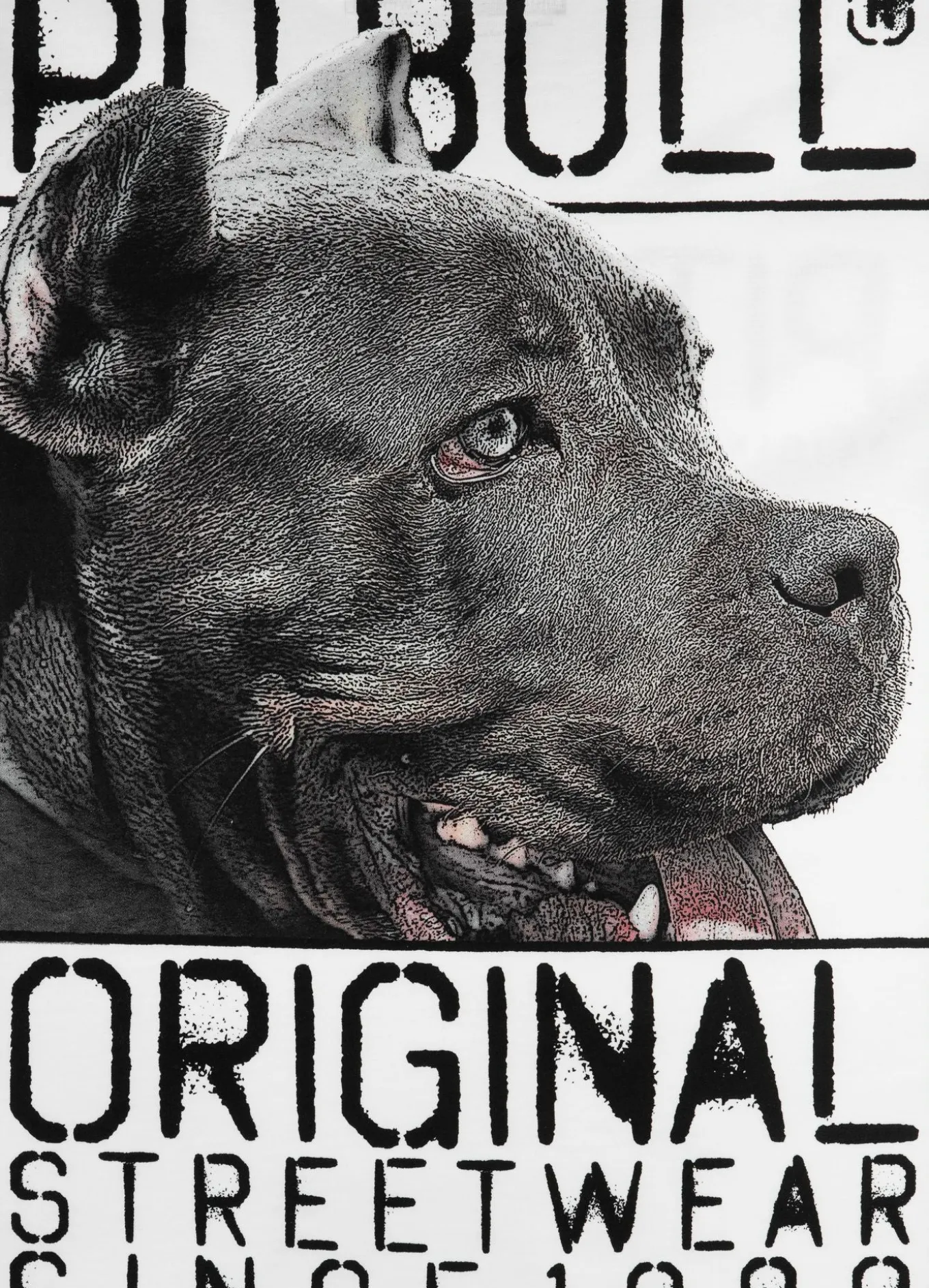 T-Shirt Origin