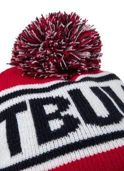 Winter beanie Fleming II
