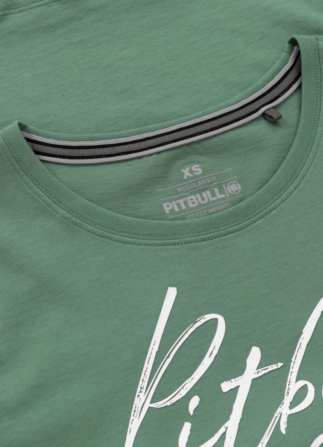 Women's T-Shirt PITBULL SD - Mint